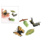 Figurine d'insecte papillon, cycle de vie, 4 pièces, montre la vie d'une dame Figurine d'insecte papillon, cycle de vie, 4 pièces, montre la vie d'une dame