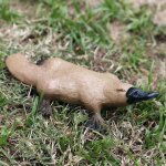 Figurine de platypus r�aliste, mod�le de sculpture d'animal, d�cor de bureau, jouets educatifs pour enfants, ...