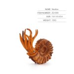 Figurines préhistoriques de la vie marine, animaux, nautilus, caméra, opabilia, trilobita, modèles d'animaux ... Figurines préhistoriques de la vie marine, animaux, nautilus, caméra, opabilia, trilobita, modèles d'animaux ...
