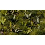 Gamer's grass: plantes laser - bananier ggr gglp - bt