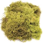 Glorex 6 3803 605 mousse vert clair 50g - g�n�rique