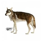 Hansa peluche geante loup 4 pattes 105cml