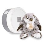Histoire d'ours lapin marius 20 cm Histoire d'ours lapin marius 20 cm