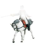 Les historiques cheval de napolon