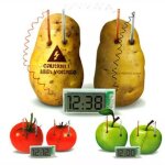 Horloge a pommes de terre pour enfants, jouet educatif cratif, protection de l'environnement, technologie ...