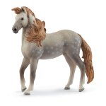Horse club etalon andalou