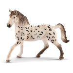 Horse club etalon knabstrup