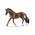 Horse club hongre trakehner