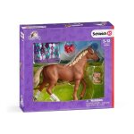 Horse club pur - sang anglais avec couverture