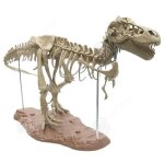 Inn tyrannosaure rex skeleton model jouet grand simulation dinosaure squelette mod�le dinosaure fossile ...