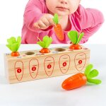 Jeu de soci�t� interactif pour enfant, dessin anim� carotte, apprentissage des maths, �ducation pr�coce ...