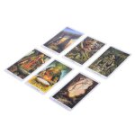 Jeu de socit interactif en equipe, 78 pices, cartes de tarot, pour fte