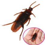 Jouets anti - cafards, accessoires magiques anti - insectes Jouets anti - cafards, accessoires magiques anti - insectes