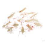 Jouet d'araign�e et d'insecte doux, 12 pi�ces, nouveaut�, ver de nuit, halloween, blague gag