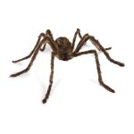 Jouet araign�e en peluche pour halloween, d�coration de bar, maison hant�e, fournitures de f�te, cosplay ...