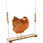 Jouet balan�oire en forme de poulet pour poulailler, accessoires en bois naturel s�r, fait a la main, ...