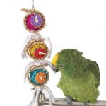 Jouet a m?cher pour perroquet, ara, perruche, calopsitte, conure, inséparable, cacatoès50 Jouet a m?cher pour perroquet, ara, perruche, calopsitte, conure, inséparable, cacatoès50