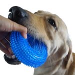 Jouets � m�cher pour animaux de compagnie golden retriever, anneau d'�pine � m�cher amusant, son interactif ...