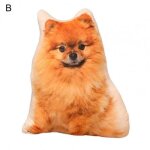 Jouet en peluche anti - d�formation, chat finement cousu, simulation d'animal pom�ranien, oreiller, jouet ...