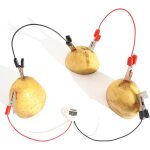 Kaaql - enfants educatif bio energie science kit diy fruits batterie pomme de terre rveil pommes de ...
