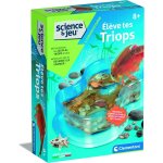 Kaaql - science&jeuâ¿elève tes triops pour enfants 8 ans + kit complet : aquarium, sable, ?ufs, nourriture, ... Kaaql - science&jeuâ¿elève tes triops pour enfants 8 ans + kit complet : aquarium, sable, ?ufs, nourriture, ...