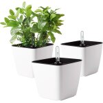 Kalanka - 13cm bac a fleurs auto - irrigation blanc plastique rond lot de 3, pot avec rserve d'eau et ...