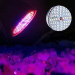 Kalanka - ampoule de croissance a led, lampe a spectre complet 60 w, lampe a ampoule pour la croissance ... Kalanka - ampoule de croissance a led, lampe a spectre complet 60 w, lampe a ampoule pour la croissance ...