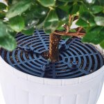 Kalanka - grille de protection pour pot de fleurs et plantes - protection contre les animaux et les enfants ...