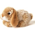 Kalanka - - lapin bélier couché (beige) u2013 18 cm (longueur) u2013 peluche lapin u2013 doudou Kalanka - - lapin bélier couché (beige) u2013 18 cm (longueur) u2013 peluche lapin u2013 doudou
