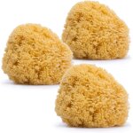 Kalanka - , lot 3 eponges de bain pour bébés, enfants et nouveau - nés, naturelles de mer, douces, grandes ... Kalanka - , lot 3 eponges de bain pour bébés, enfants et nouveau - nés, naturelles de mer, douces, grandes ...