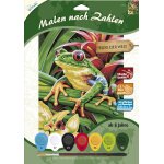 Kalanka - mammut 105103 u2013 kit de peinture au numro au motif animal, grenouille arbre, kit complet ...