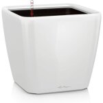 Kalanka - ¿ pot de fleurs d'interieur ¿ premium quadro ls ¿ rserve d'eau intgre ¿ coloris blanc ...