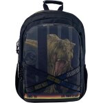Kalsc - cypbrands s - jurassic world roar sac a dos 43 cm adaptable au trolley, mixte enfant, gris, estandr ...