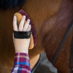 Kit d'outils de toilettage pour chevaux 10 en 1, kit de nettoyage, peigne  queue de crinire, brosse ...