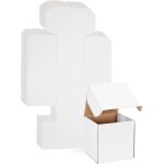 Lbgwp60 - bote carton expdition 20. 3x20. 3x20. 3 cm, lot de 15 botes carton en blanche