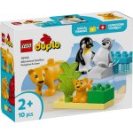 Lego duplo - familles d'animaux sauvages : pingouins et lions - 10442
