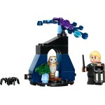 Lego harry potter - drago dans la for�t interdite (polybag) - 30677