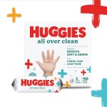 Logiciel - autodesk - autocad lt 2024 - cl de licence - windows 10 - 3 ans