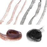 Lot de 10 faux - cils pour poup�es, accessoires pour b�b�s, largeur 0. 5 / 0. 8 / 1. 0cm, vente en gros ...
