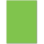 Lot de 150 cartes simples - feuilles de papier - format a5 - vert clair - 240 g / m - 14, 8 x 21 cm - ... Lot de 150 cartes simples - feuilles de papier - format a5 - vert clair - 240 g / m - 14, 8 x 21 cm - ...