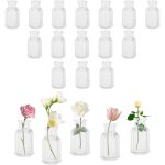 Lot de 20 petits vases en verre pour décoration de table - minimalisme - 7, 5 cm de haut - design vintage ... Lot de 20 petits vases en verre pour décoration de table - minimalisme - 7, 5 cm de haut - design vintage ...