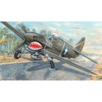 Maquette avion : p - 40f war hawk - trumpeter