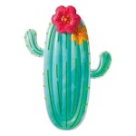 Matelas de piscine cactus - intex