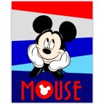 Mickey couverture plaid coral 120x150 cm fleece blanket polar disney minnie