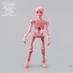 Mini figurine squelette de m. os, mod�le humain, cr�ne complet, jouet d'halloween, nouveau