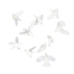 Mini oiseau pigeon animal modle poupe miniature, maison ferique, dcoration de maison, 10 pices