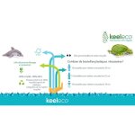 Mini - peluche eco responsable keeleco - pingouin Mini - peluche eco responsable keeleco - pingouin