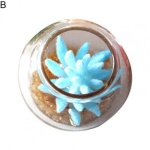 Mini plante succulente d'aquarium en pot, maison de poupe, jouet d'ornement de couleur alatoire