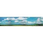 Mod�lisme accessoires de d�cor - arri�re - plans de mod�le : extension du d�cor for�t noire baar - faller ...