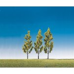 Modlisme accessoires de dcor ho - vgtation - arbres : 3 bouleaux - faller